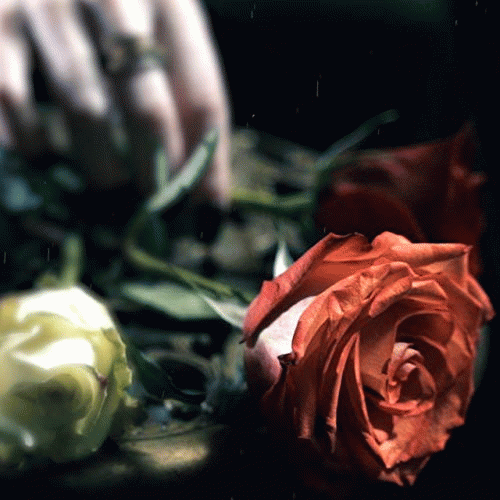 Chariot The Moon : All the Same